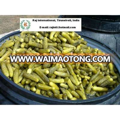 Pickled Cucumber in Acetic acid